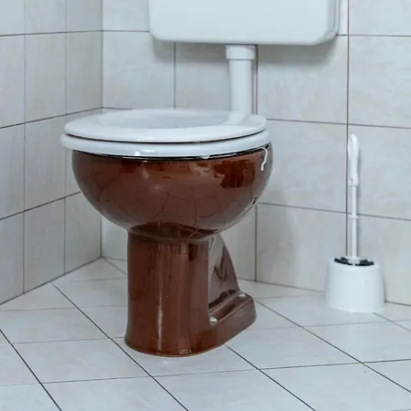 Apartma Zvan *
