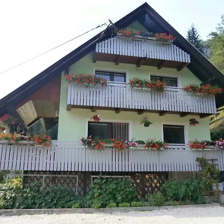 Apartma Zvan *