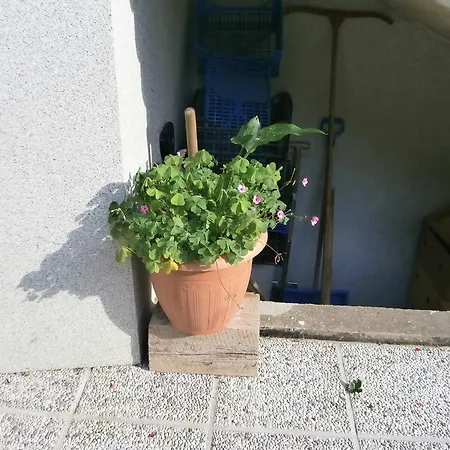 Apartman Zvan