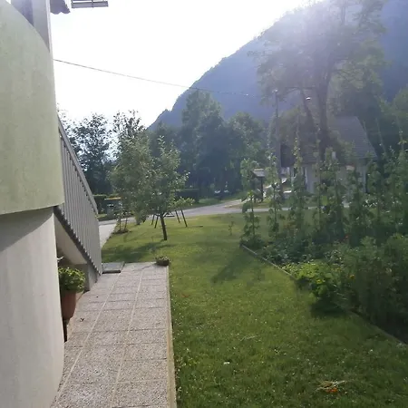 Apartman Zvan Bohinj