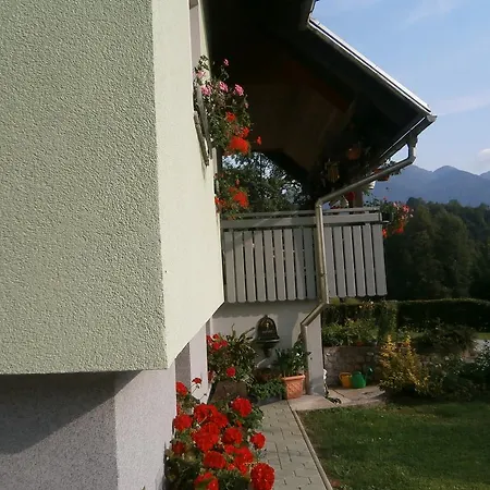 Zvan Apartma Bohinj