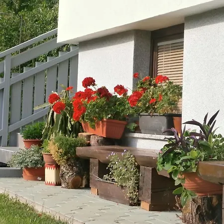 Apartma Zvan
