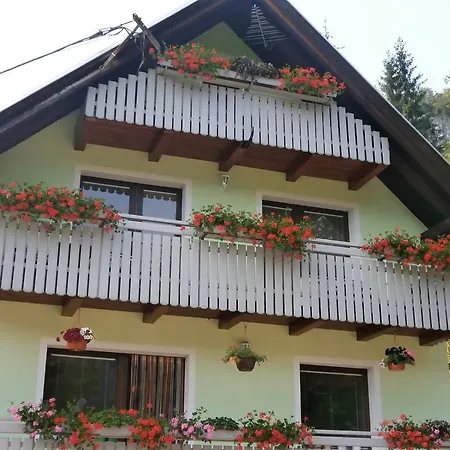 Apartma Zvan *
