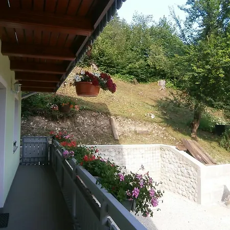 Zvan Bohinj