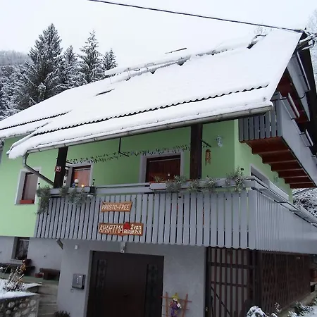 Apartman Zvan Bohinj