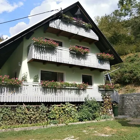 Zvan Bohinj