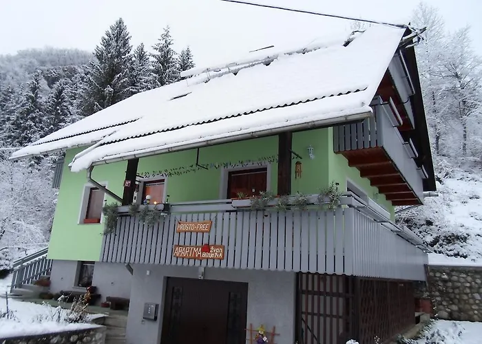 Apartament Zvan Bohinj